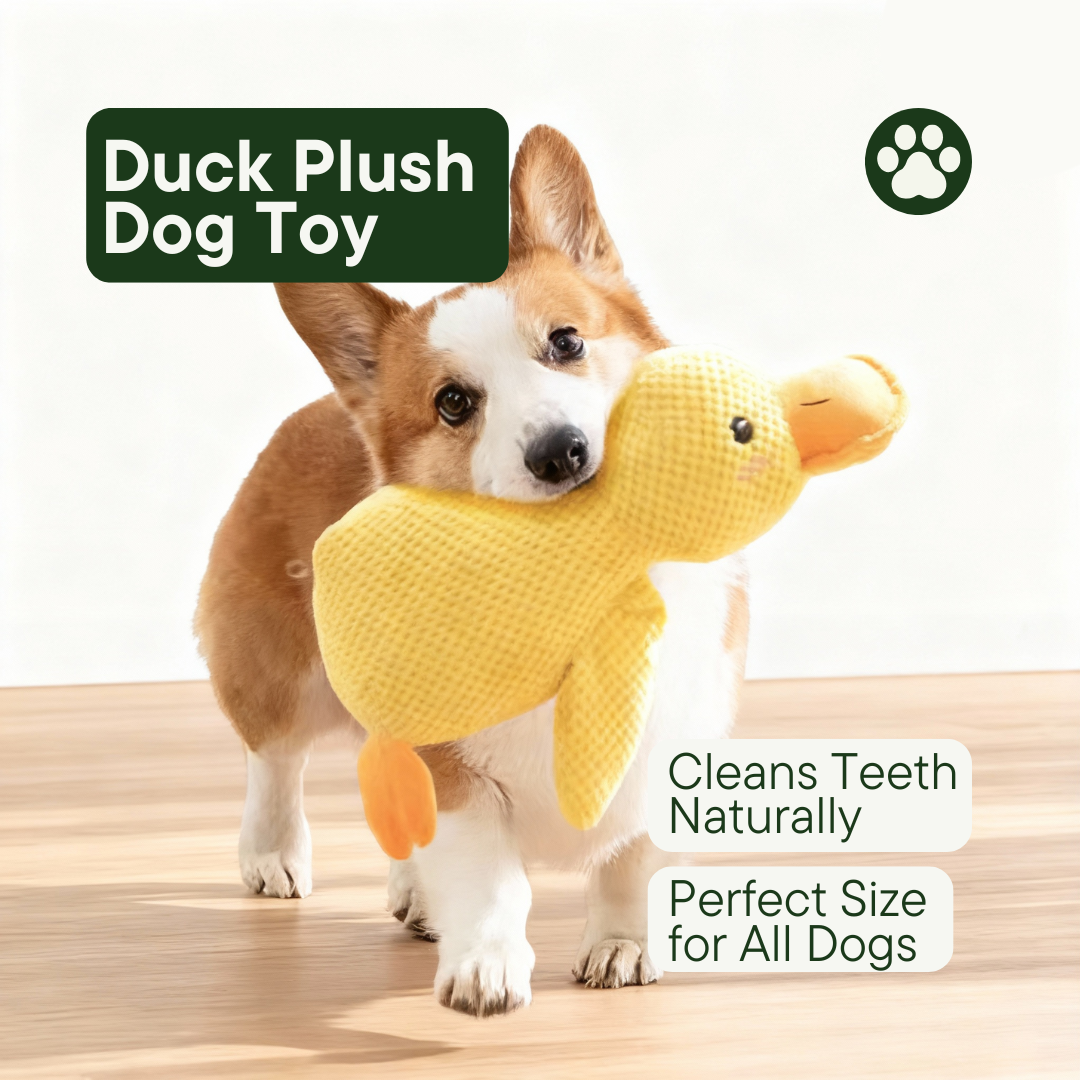 Stomping Duck Dog Toy